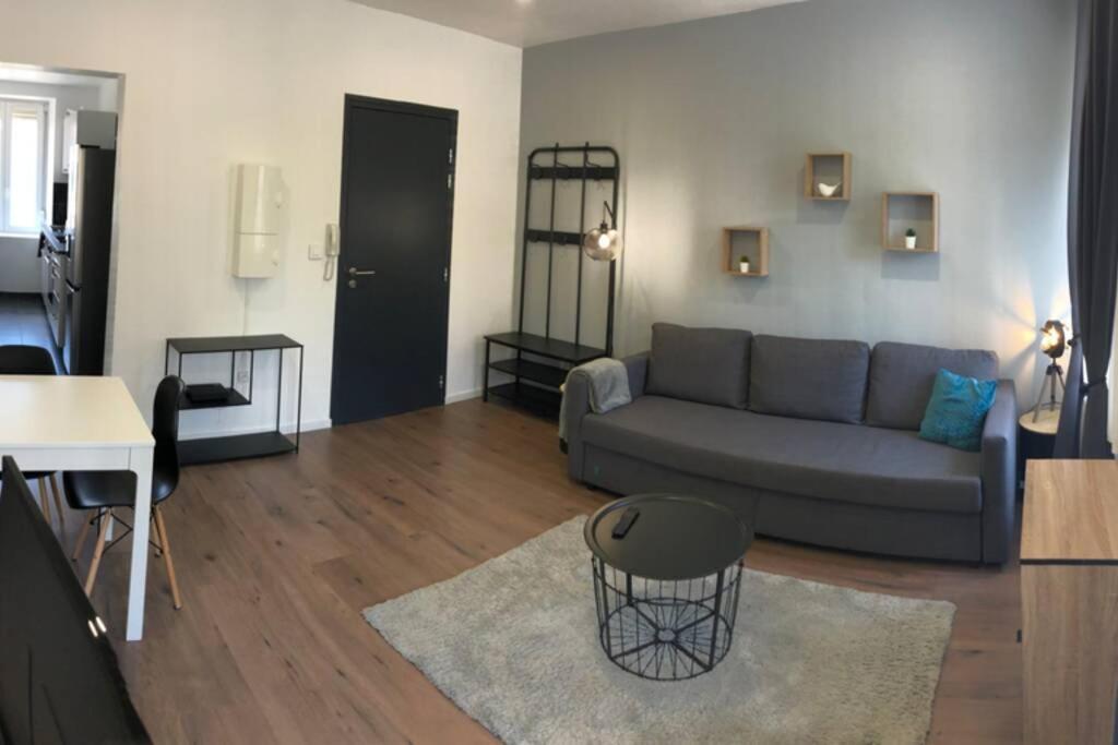 Apartament S'Capades 2 Mulhouse - Wifi Netflix Zewnętrze zdjęcie